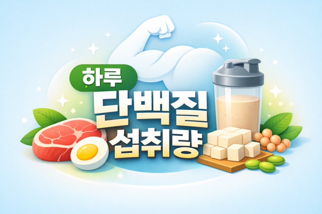 하루 단백질 섭취량 
